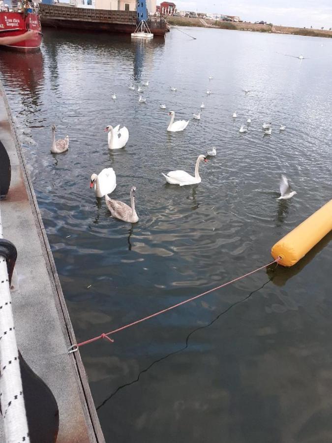 Lake View Κονστάντζα Εξωτερικό φωτογραφία